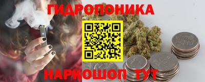 мяу мяу мука Гатчина