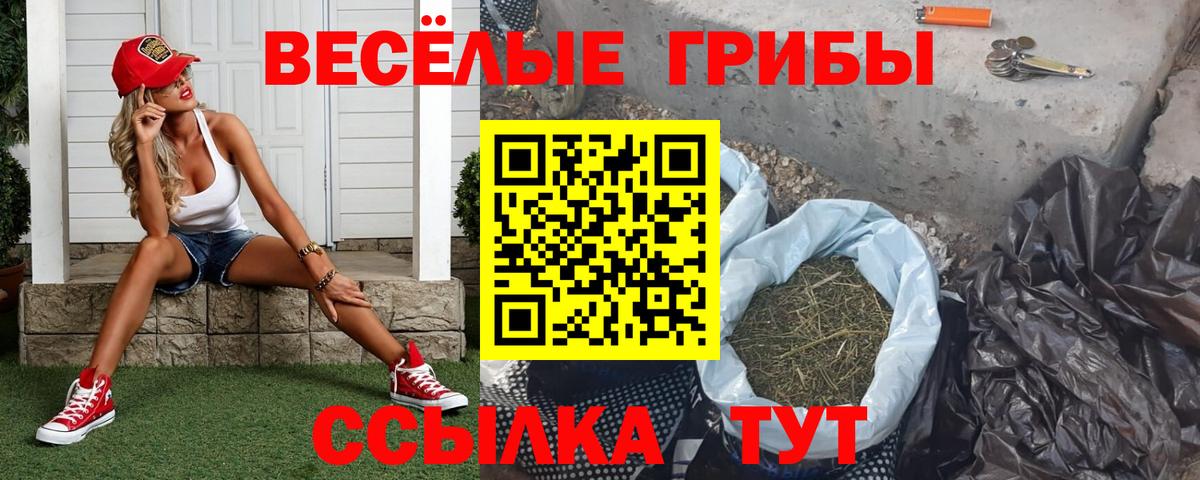 Галлюциногенные грибы MAGIC MUSHROOMS Моздок